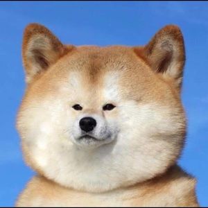 Meet your Posher, Naomi